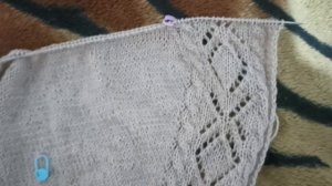 11.03.26.Мои продвижения за сегодняшний день. Бактус"Пуансеттия "