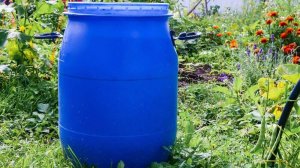 ШУТКА :    Моя жадность в бочке      ПОДПИШИСЬ