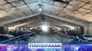 ⚡️Руководителя фермы в Новоазовске уволили за ненадлежащее исполнение обязанностей