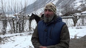 В аул Верхняя Теберда уже много лет привозят на выездку коней со всей Карачаево-Черкесии