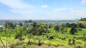 Беженец🇮🇩Бали. СИНДИ РАЗРЕШИЛА СЕБЯ СНИМАТЬ. 8 МАРТА. ДОМИК ИЗ БАМБУКА И ВАННА С ЦВЕТАМ