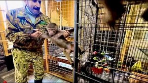 Хор имени Алексагиных ЗАКВАКАЛ и пошел на завтрак.Наши каналы БУДУТ МЕНЯТЬСЯ!!!