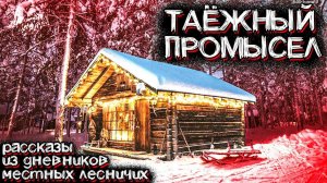 Этот Промысел в ЗИМНЕЙ ТАЙГЕ закончился ЖУТКИМ. Рассказ Егеря | Мистические Страшные Истории на ночь
