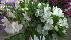 06.03.2026_Новости_6+