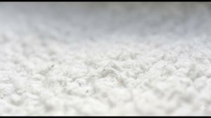 БЕЛЫЙ ШУМ №1