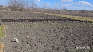 влог...понемногу выходим в огород