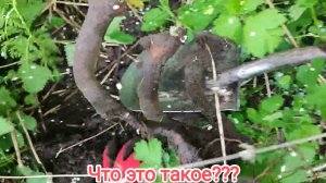 Первый раз мы с супругой находим такой экспонат!!!