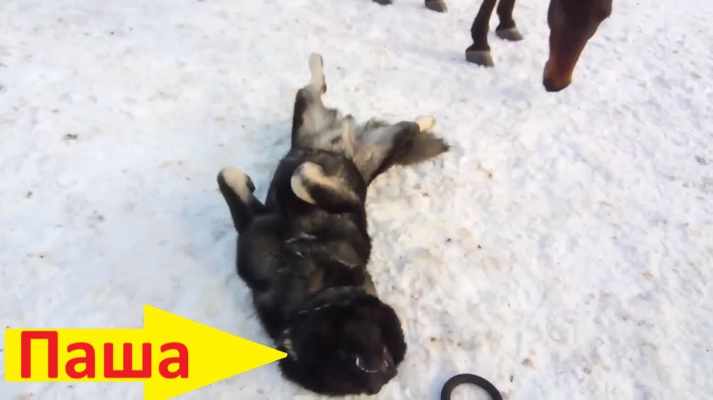 Релакс на снегу