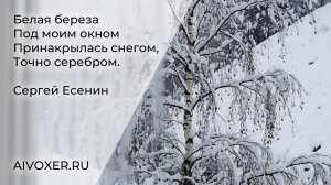 Сергей Есенин — Берёза (Песня на стихи Есенина / AIVOXER) #музыка #русскаяпоэзия