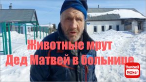 Быть Добру. Животные мрут. Дед Матвей в больнице