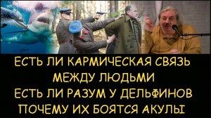 ✅ Н.Левашов: Есть ли кармическая связь между людьми Есть ли разум у дельфинов Почему их боятся акулы
