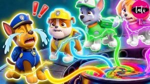Щенячий патруль и Маршалл. Залипательное видео. Мультфильм для детей и малышей. Анимация 358