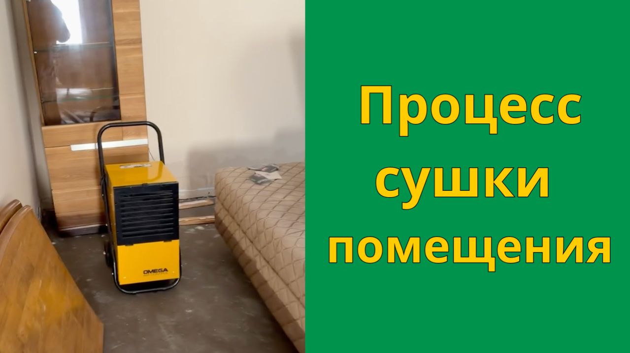 Процесс сушки квартиры после затопления