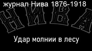 Удар молнии в лесу.Шнехт,описание журнал Нива 1876-1918