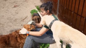 Приют "Славянское"