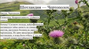 Цветы-символы стран