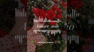 цыганская_песня🌖Amore_mio🌖(2026)