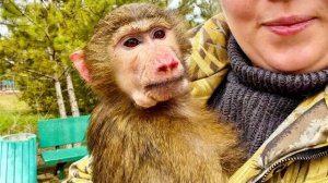 Анфиса ИСПУГАЛАСЬ РОДИТЕЛЕЙ Николь, они стали БРОСАТЬСЯ НА НАС, но мы все равно угостили их орехами!