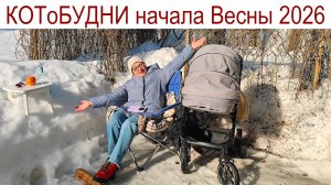 Травка зеленеет Солнышко блестит... или КОТоБУДНИ от 10 марта 2026 г.