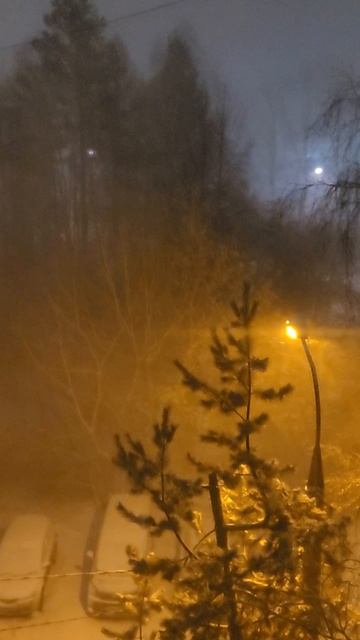 Зима вернулась ❄️❄️❄️ 1️⃣1️⃣ Марта 2️⃣0️⃣2️⃣6️⃣ Метель #зима #метель #winter