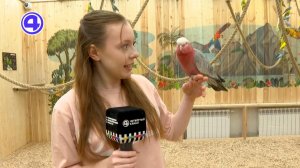 День рождения за 0 рублей: куда сходить бесплатно в Екатеринбурге? Проверили на себе