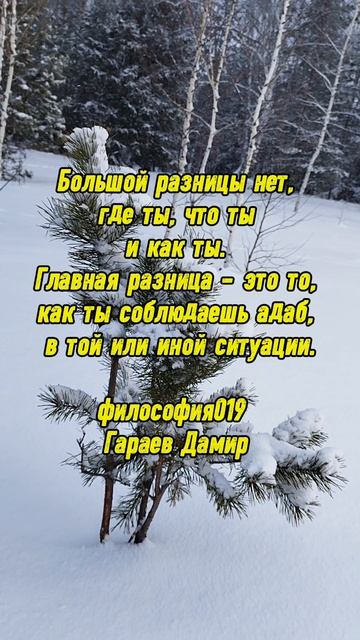 #философия019 #ГараевДамир #shorts