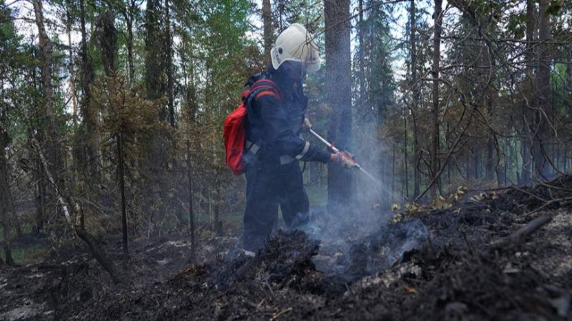 Пожароопасный сезон начался на территории Владивостока