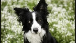 как сделать свою клавиатуру😁