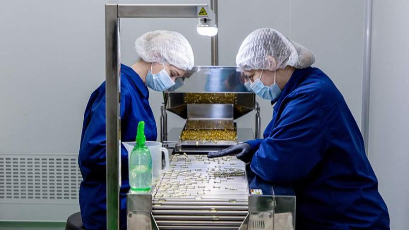 Эксперт объяснил роль пищевых добавок в производстве продуктов