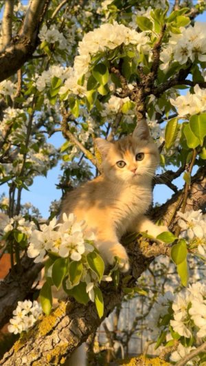 маша собираю рукзак