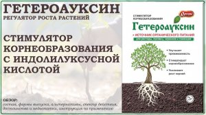 Гетероауксин - стимулятор корнеобразования с индолилуксусной кислотой. Обзор регулятора роста
