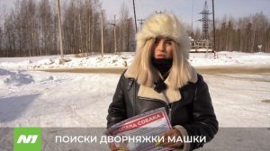 10 тысяч за пропавшую дворняжку заплатит жительница Тюмени