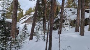 Посвещается нерешительным