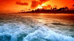 Я НЕ ЗАБЫЛА ..(красивый клип для релакса стихи В.Степанов)