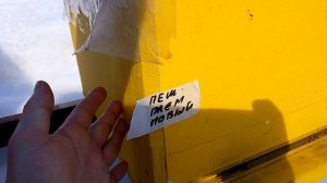 Карника или бакфаст? Сразу видно отличие при облёте.