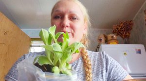 Жизнь в ДЕРЕВНЕ Алтая,Припёрся раньше времени,но я успела