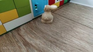 история кота майни