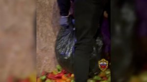 В Москве осудят мужчин, задержанных при перевозке в набитой болгарским перцем машине 45 кг марихуаны