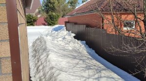 Дневник. 2026 март 11. Начало весны