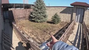 Жизнь вне орхидей- уже РУКИ ЧЕШУТСЯ поработать во дворе  готовлюсь к ЧЕРЕНКОВАНИЮ-