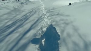 Снег, ёлки, давилки. 11 марта