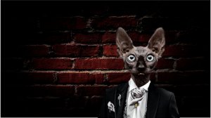 Код доступа с Котом Костяном