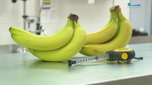 Когда размер имеет значение: изучаем новый ГОСТ на бананы