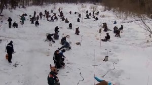 Подледный лов ельца на реке Зелинда