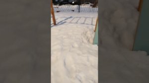 Гулять 4 серия "После леса"