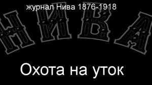 Охота на уток. описание журнал Нива 1876-1918