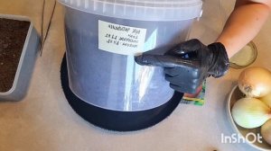 ПОСЕВ ЛУКА ЭКСИБИШЕН. НА РАССАДУ ЛУК ЗА 1 ГОД.
24.02.2026