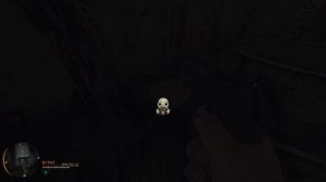 сталкер ташим