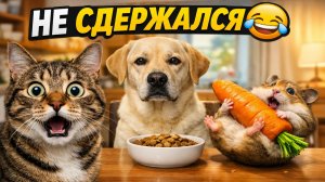 Я не смог не засмеяться 😂 — Impossible Not to Laugh Animals
