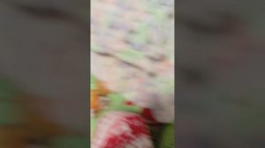 У реборна Мии витрянка ждём врача😭